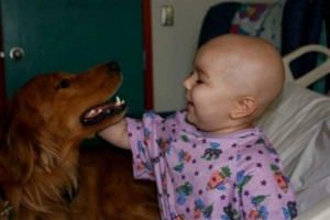 LA  and Cancer Kid )