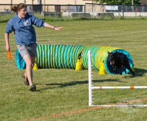 10361263_1512780378945583_2448123466868105570_n