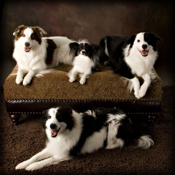 JD-Family-shot-Holiday-Card