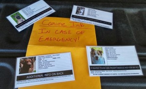 One great way to organize all the "In Case of Emergency" info you need to share.