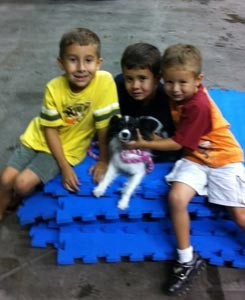 Bella-Sun-Dome-with-fans