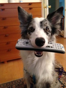 Power-Fetch-Remote-hold