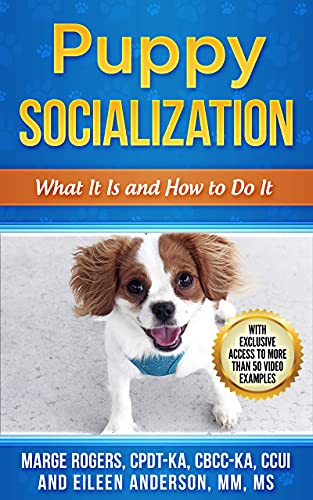 best dog training resources puppy socialization by mage rogers